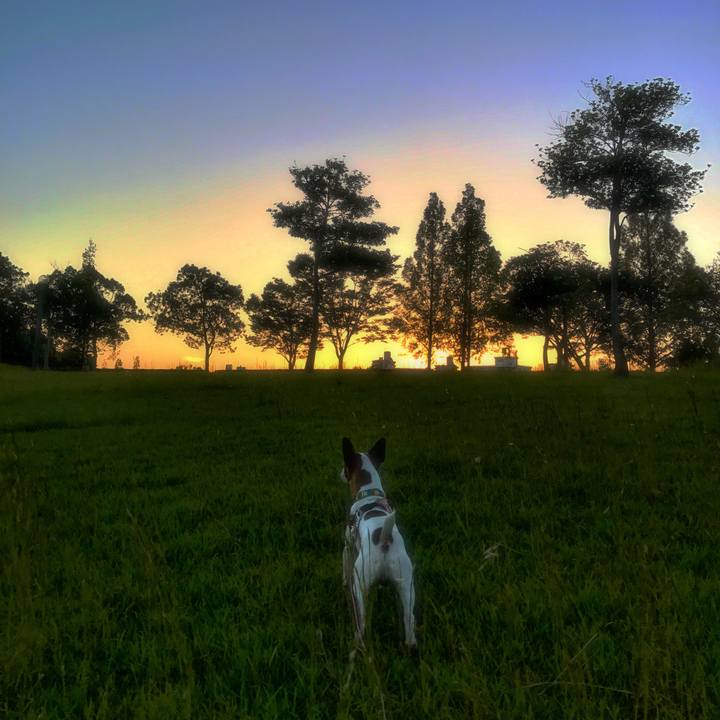 3f4a03aa 4bd9 469e 8a0a 765db85d95f0