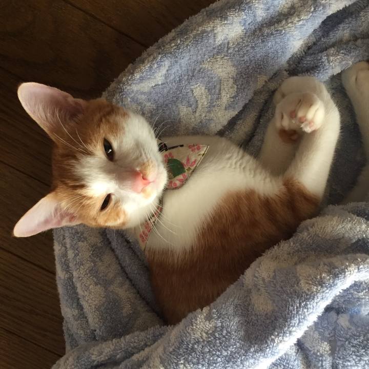 3f4a71a1 c355 4fd1 8b1c 2ea668405dfc