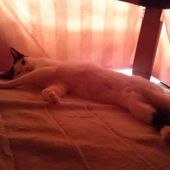 3f4b054b 0c66 4851 aa78 2200f6851efa