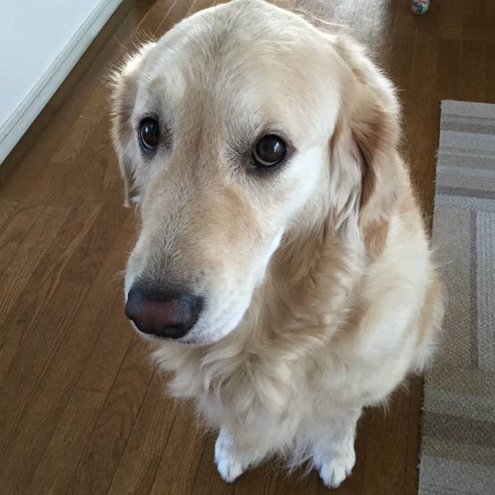 3f4b5fd8 1772 495e 8944 bb612050a951