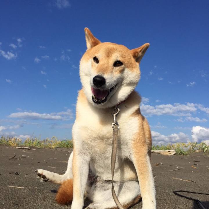 3f4b836f e023 487a bc94 38339dc7d534