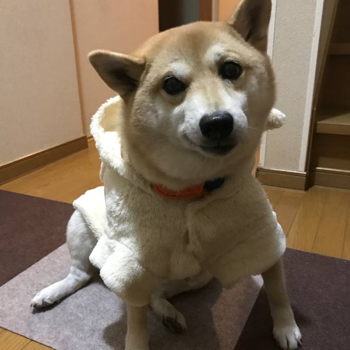 3f4b9072 d6f2 48ea b21b 1f2259a23fe4