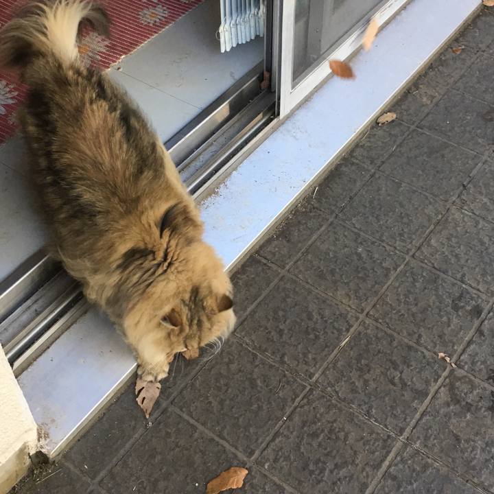 3f4bf0d8 2141 4d35 8290 34cd0ffcf563