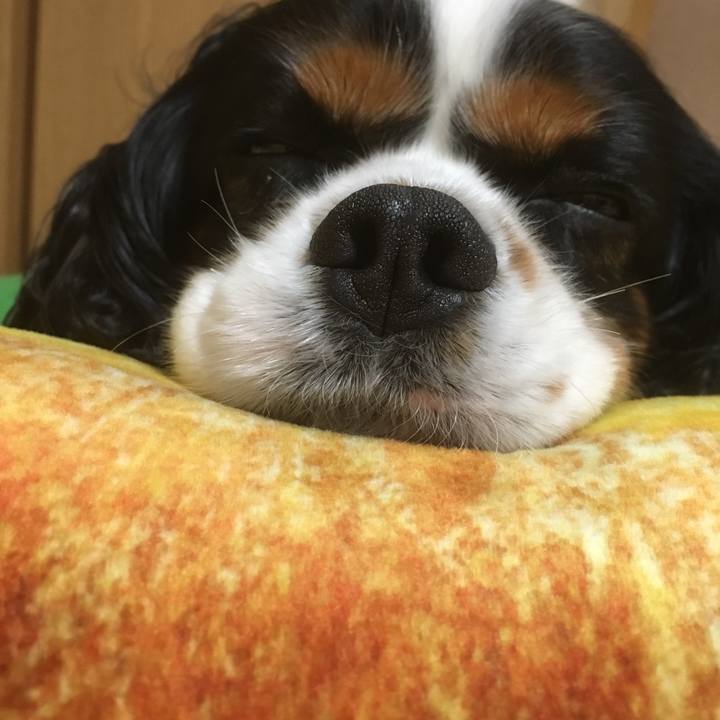 3f4c3377 bda9 4228 ad89 0cd4224d4ebb