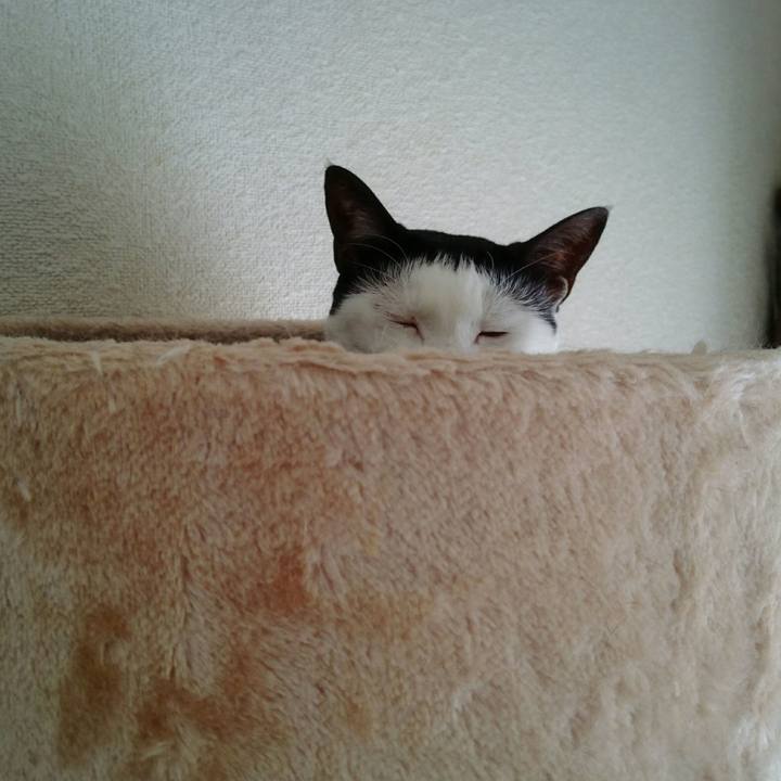 3f4cc8e1 6652 46cf abe4 0b0ffc6a1ed8