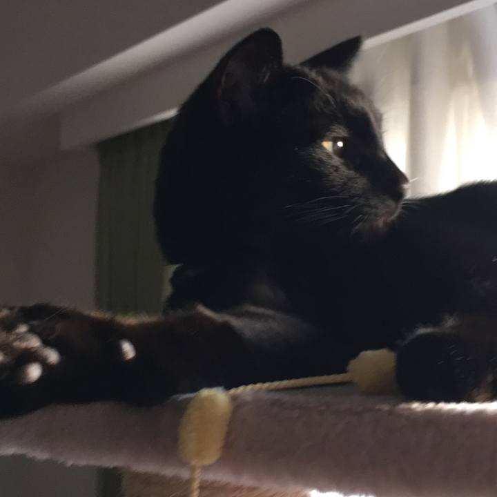 3f4cca18 48b9 405e 929c 2d424aaa1582