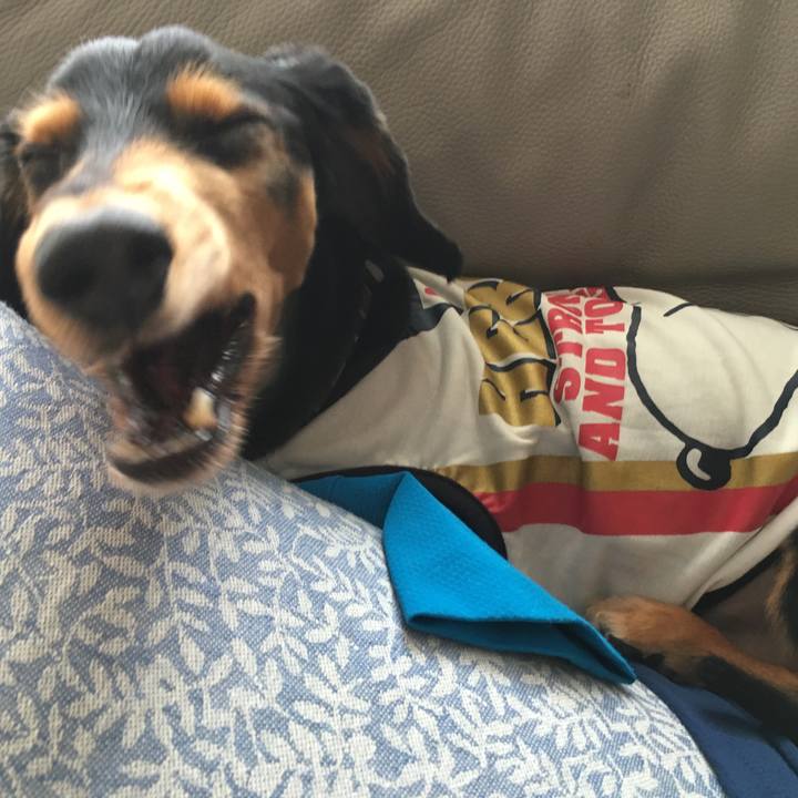 3f4d1dd4 d5e3 44dc a8d0 a9f220696e73