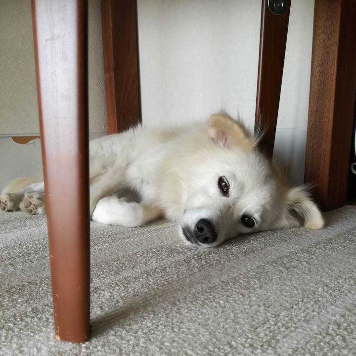 3f4d3ced 34f1 4123 9fdd e0b2fc9af679