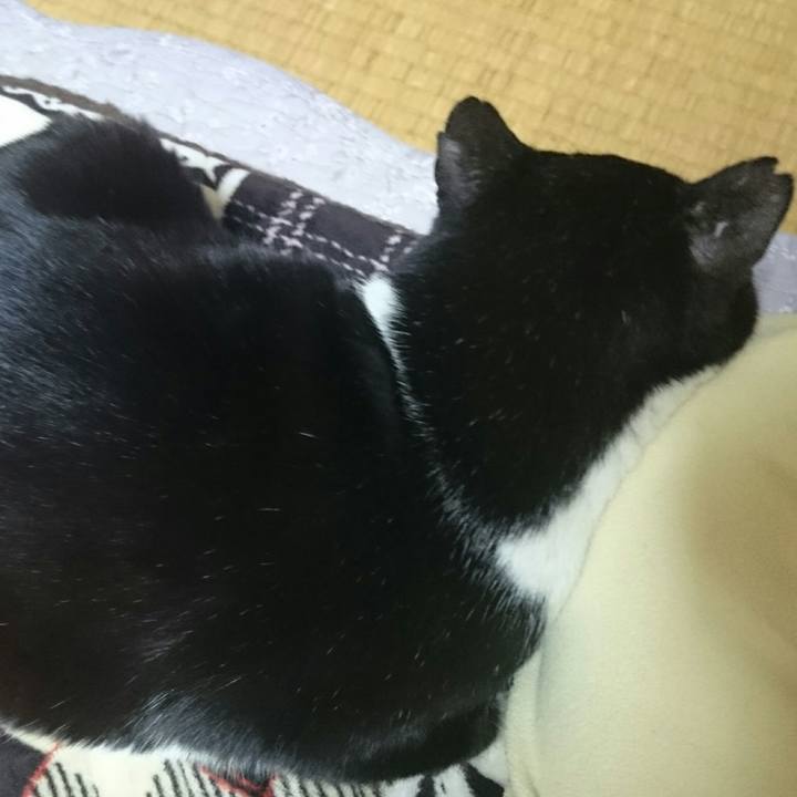 3f4fa3f0 e1e5 4c74 bb18 91aa7bd00180