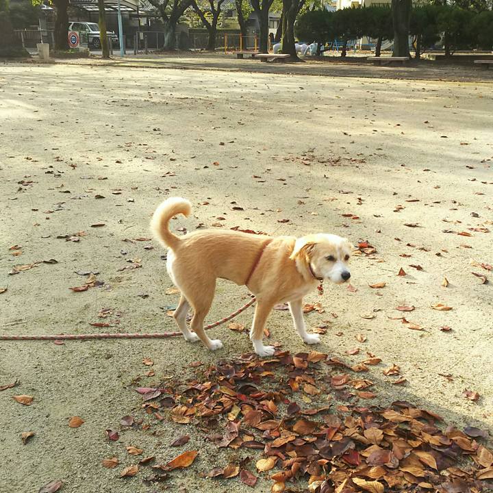 3f4fbf3d 6ab8 49b3 850e bc16db71d825