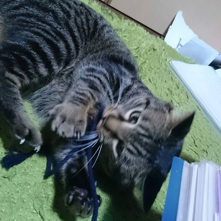 3f5046c3 fdf8 424e 82c3 f119af2ee125