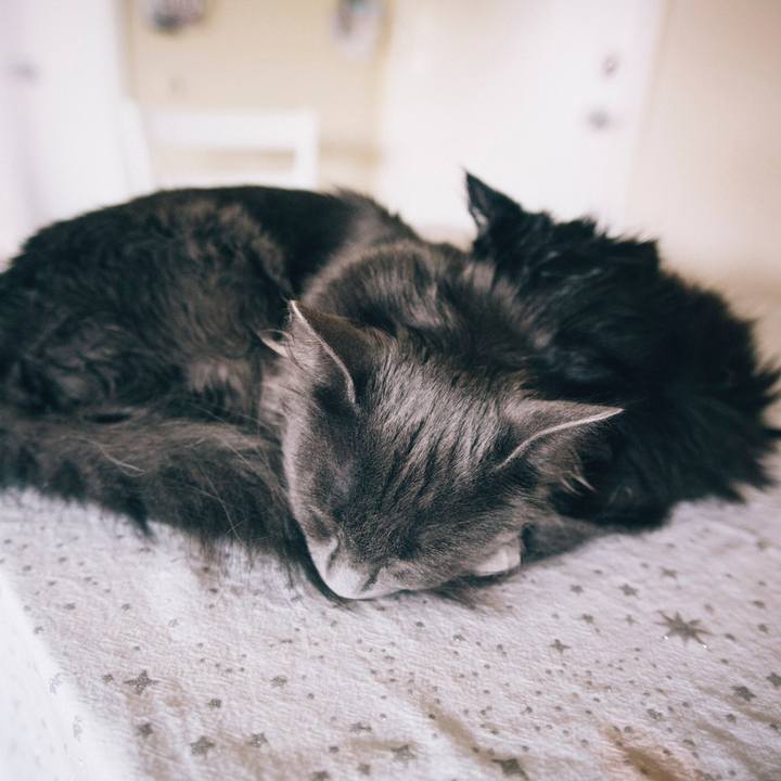 3f50b347 72dc 4e89 9745 64518ab48562