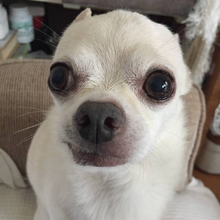 3f50eff2 ebe2 4641 b13a 100e73cf202c