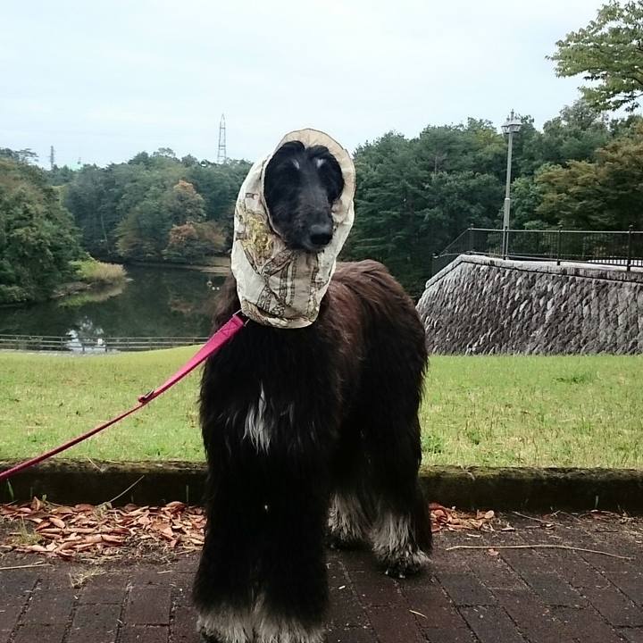 3f515ea4 c631 4edc 9d3d abf6bd2eef26