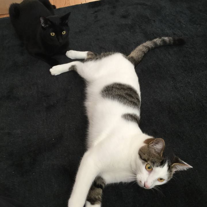 3f52e888 ba26 4cab b06e 522b84384d82