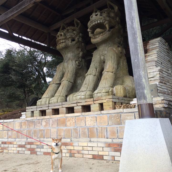 3f53140b 4f70 43fc af02 9fd6bd394385