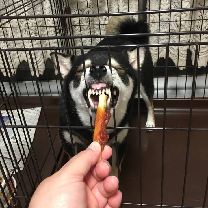 3f533ca5 3c81 4fb8 b02f 5b91a342db8e