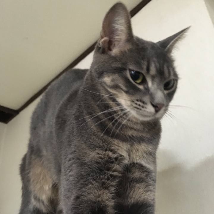 3f535a78 0ad6 44c5 b599 5317b9f4ff94