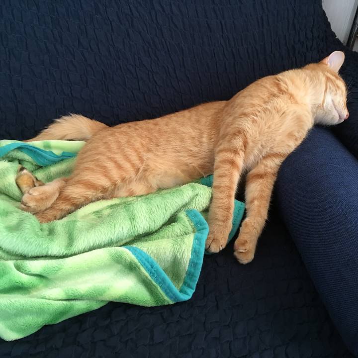 3f53b93c 6c2f 4e37 83d1 dc321a5d5920