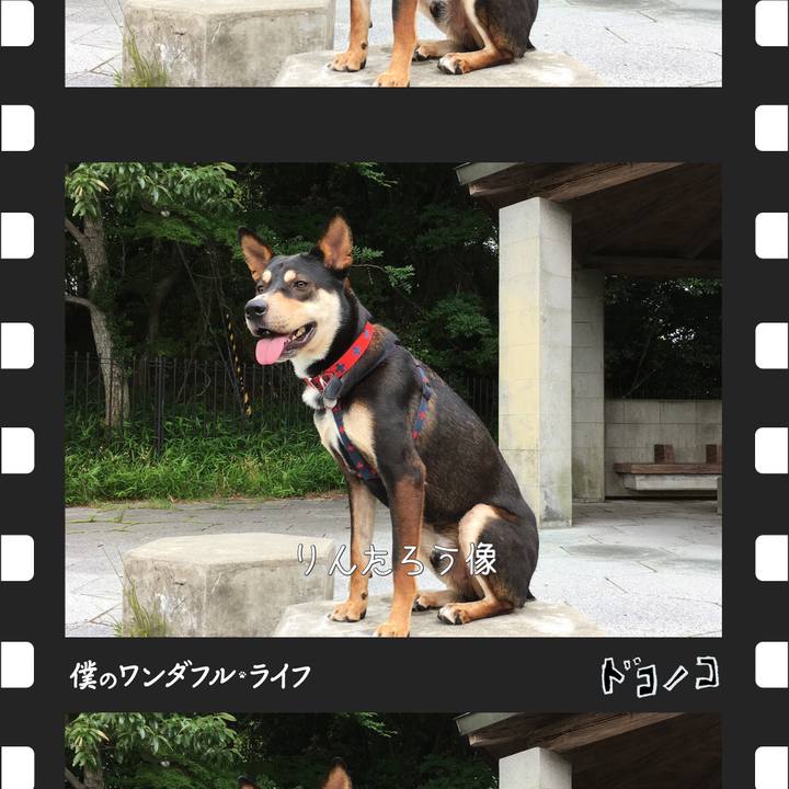 3f53be52 8308 4246 ab5b d62249966d54