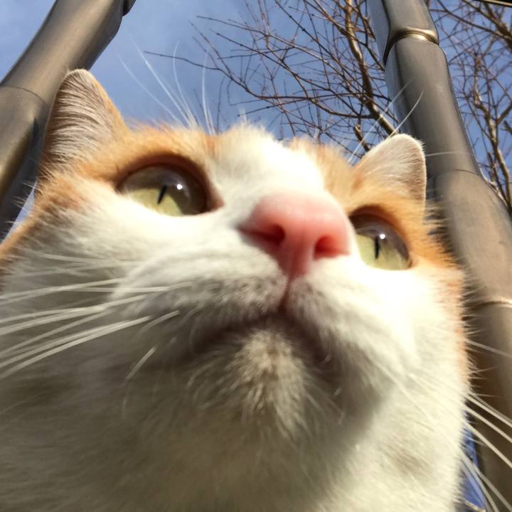 3f53e7af 32f4 47e2 9c0a b14aed5cb9f0