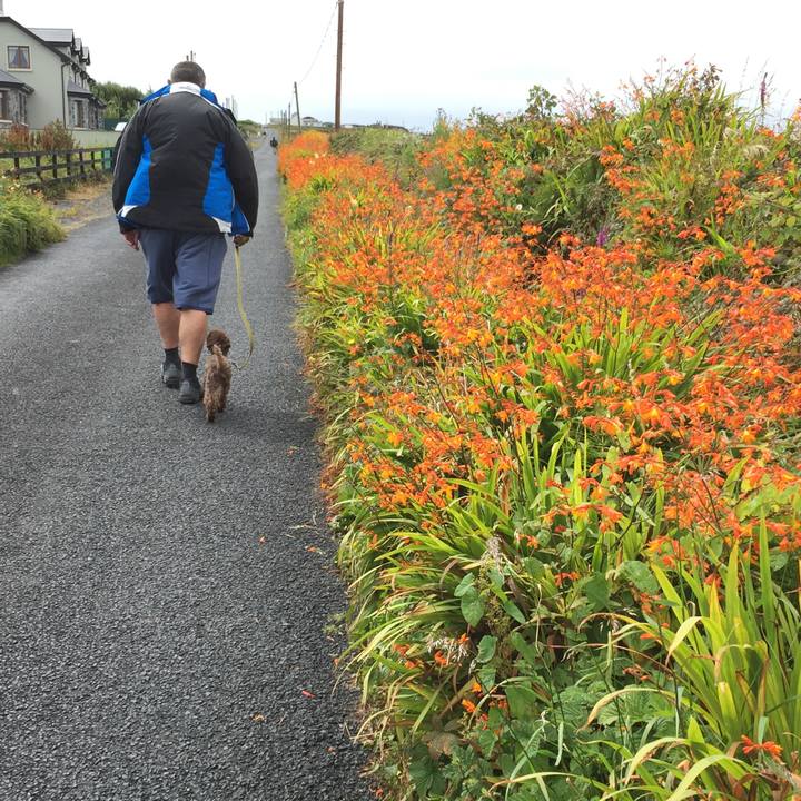 3f54b408 e36d 4633 8ebb 26d2c167be38