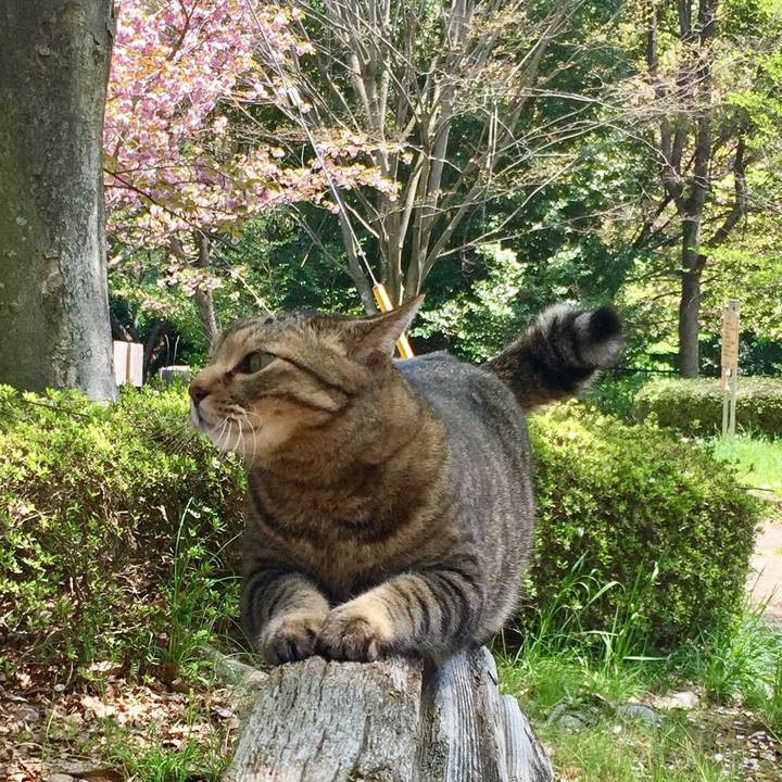 3f5528d6 b30e 4913 a3f8 17deeee9863e