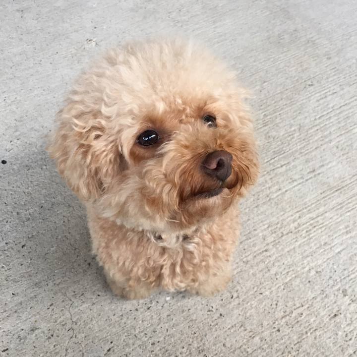 3f55375b ffb4 4c98 ad7e c8e21193af55