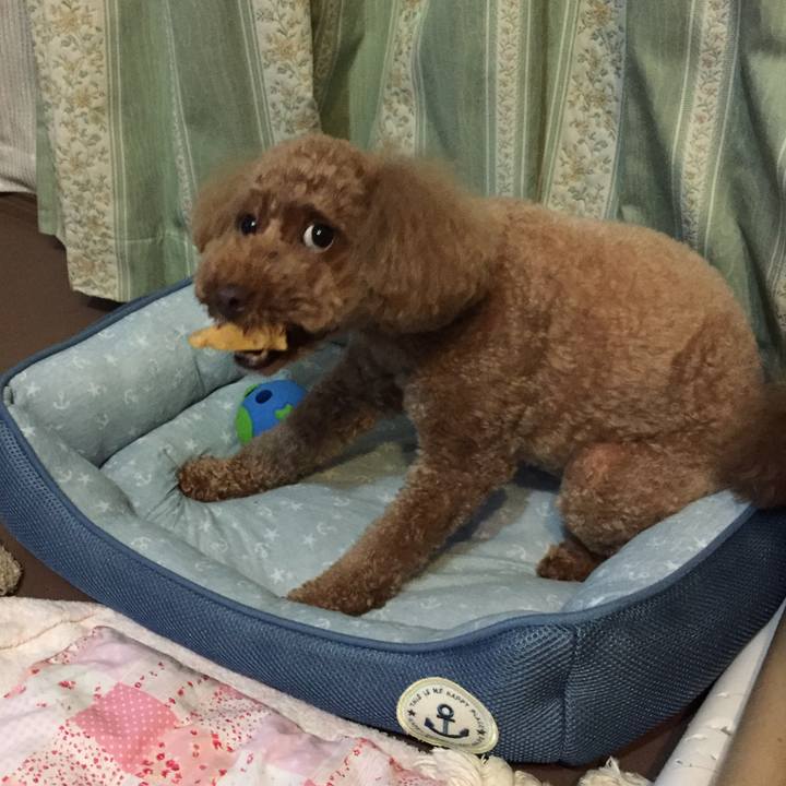 3f5537ab f36e 4299 9020 3e65e7a6b858