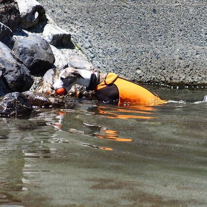 3f5609f1 496c 4fdd 9d4b 1364a554384b