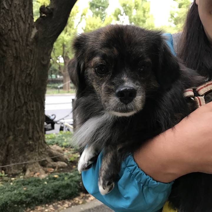 3f56334c 49e8 4ce8 8487 76c6217076aa