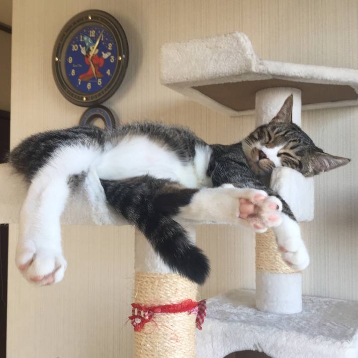 3f56b3fd 61a9 41ee 8897 b3b723eb3585