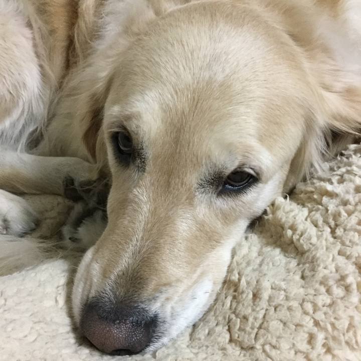 3f572bc2 212a 4caf 9600 45cbea24096c