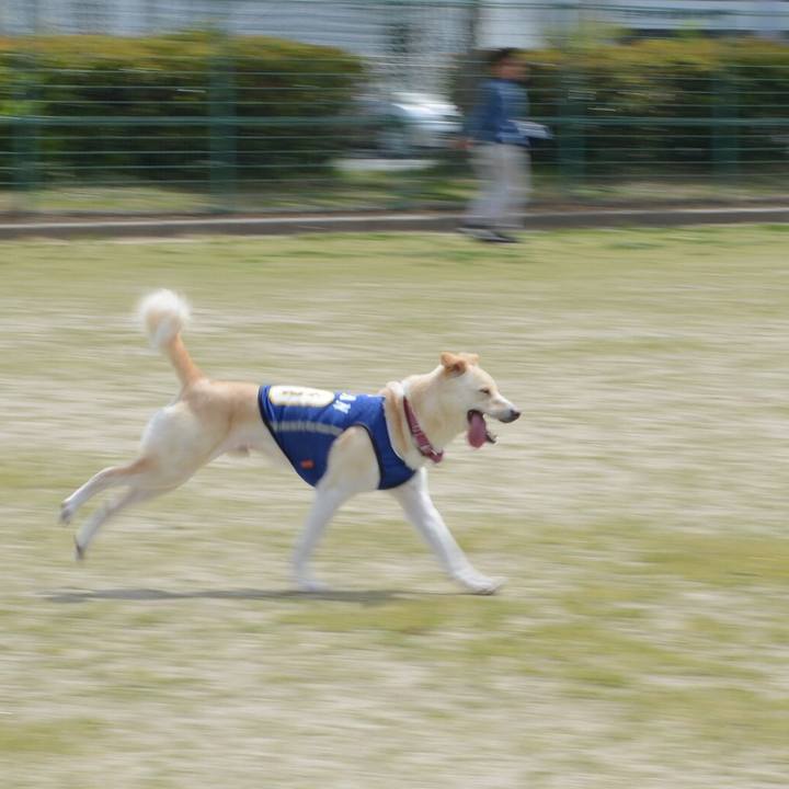 3f57fe8f e4df 4608 8cd0 1e4b1b32f4e0