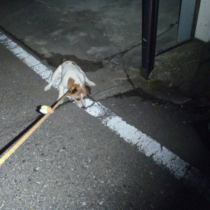 3f5825df c6c4 4dfb bb30 4a6c79e2b8ef