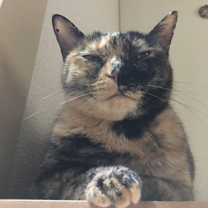 3f58870e 83ca 46e6 b9a1 cd41d3cbaafb