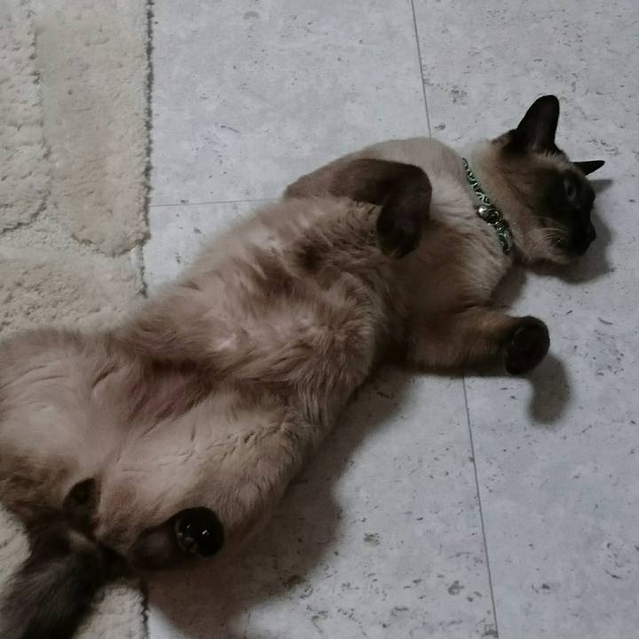 3f58da08 c65e 4f20 9866 e957b1654566