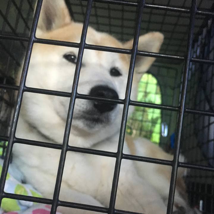 3f591ce7 3fc7 408a aaa4 7ee1448db048