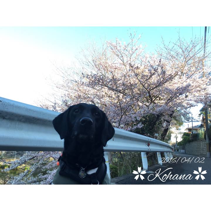 3f592127 dd85 4638 ab5c 2606a6dcb7c3