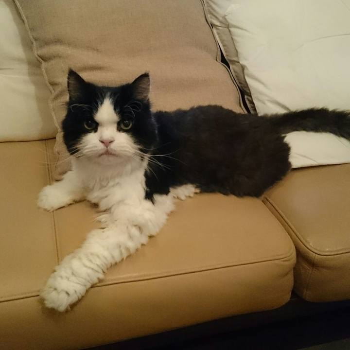 3f59b84c 8e12 4db0 abb6 517b53d5625f