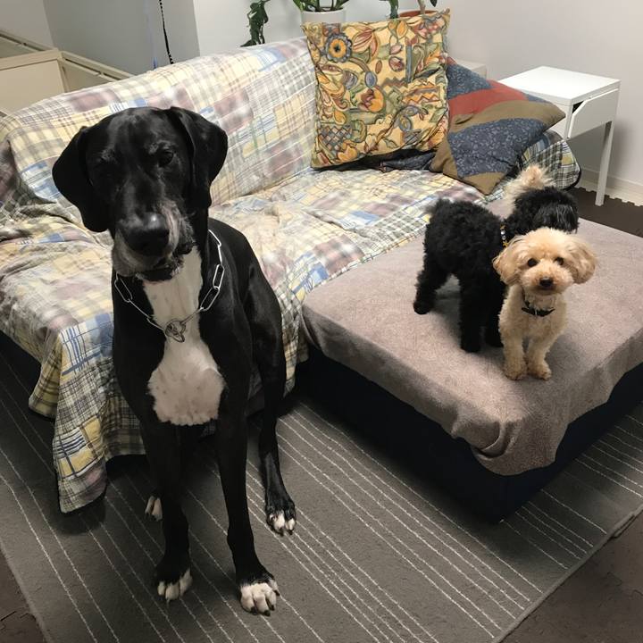 3f5aa8f2 3726 4c3a ae13 a19167397d9e