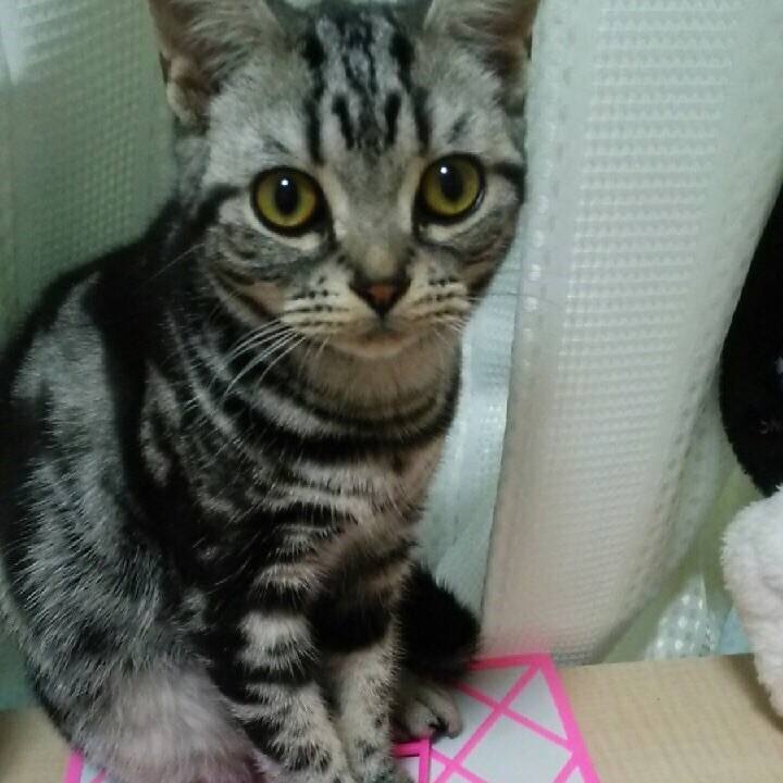 3f5b49ec cbf7 45dd a6a2 975d3247df65