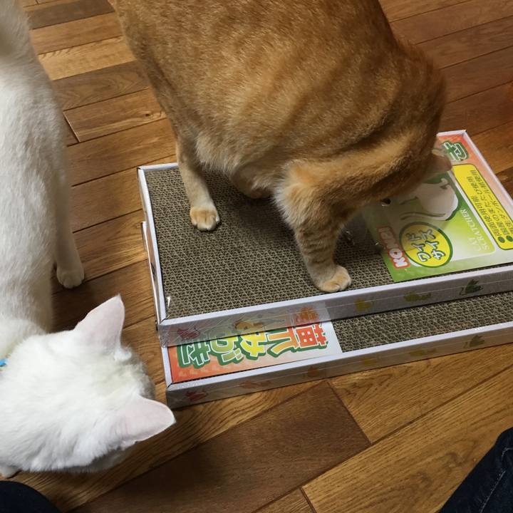 3f5bd39e eb99 4630 b864 93906777e0f9