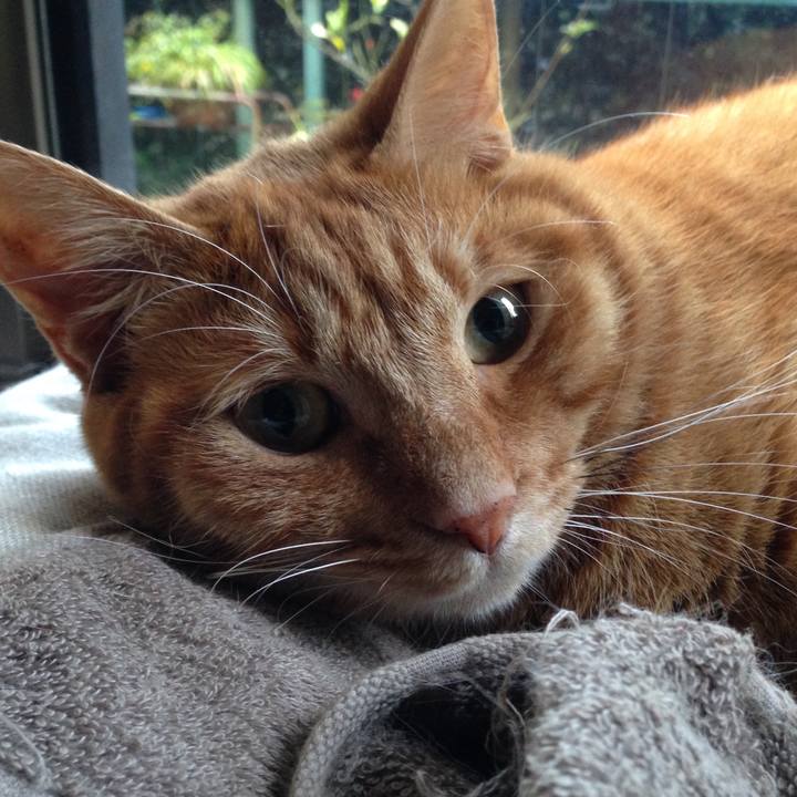 3f5c2313 f0b7 4891 84f8 5d7e7bd4a189