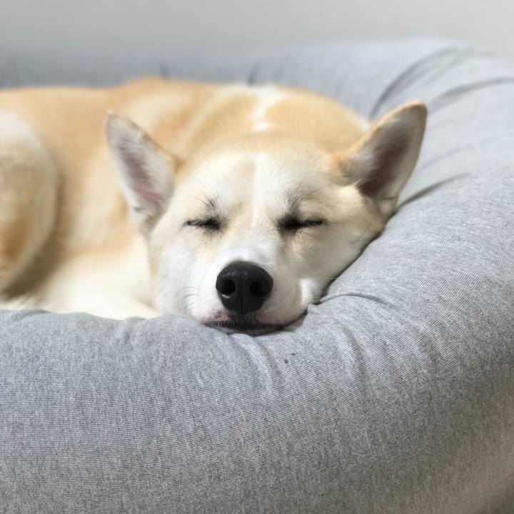 3f5c7e98 3037 48da b81b 881d17722536