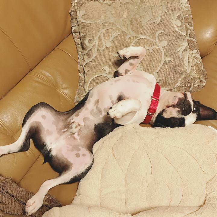 3f5cabce 26d8 4784 abbf 976a508b6d0a