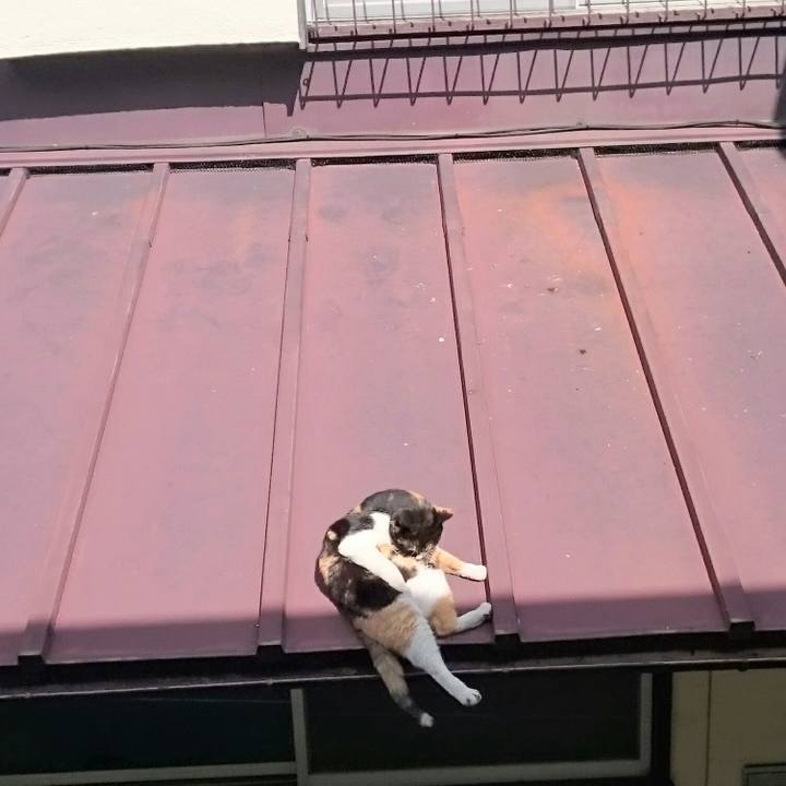 3f5ce439 4c43 4368 9098 3d35698797dc