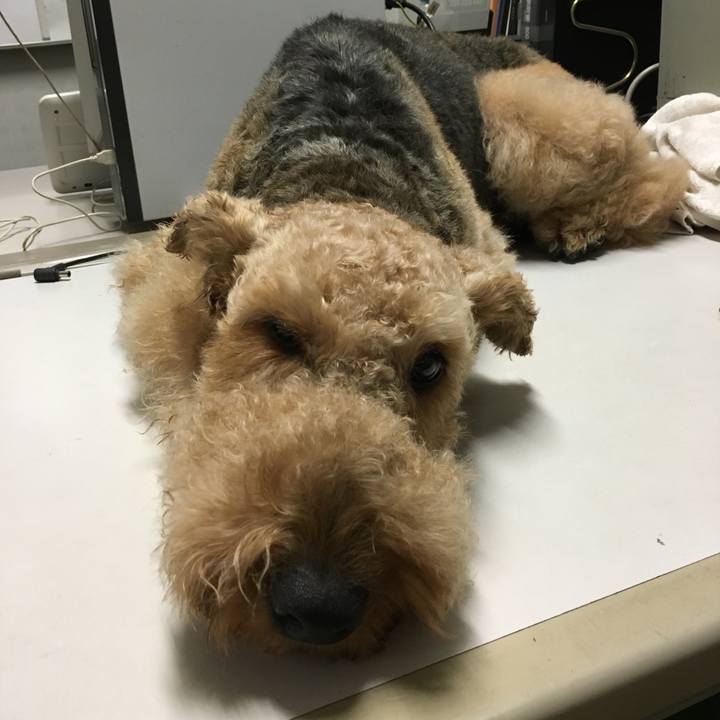 3f5d6b99 e34e 40c7 b97e 9a6e22c3d58e