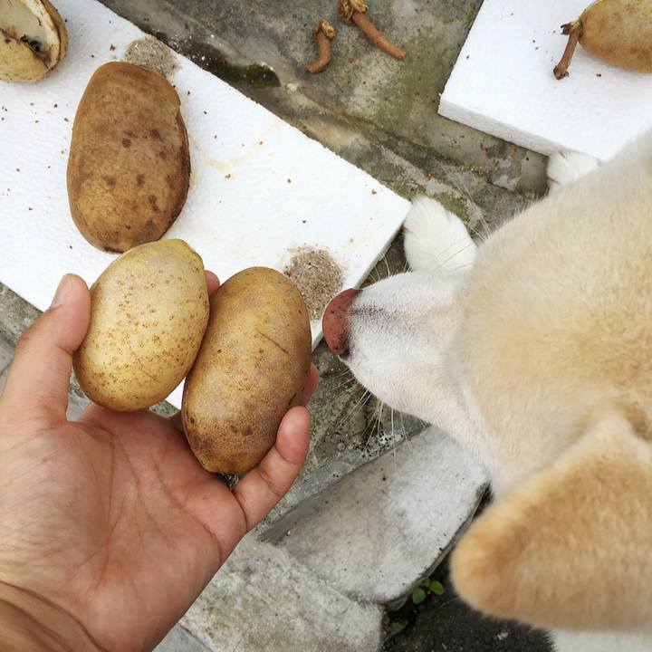 3f5d7493 9105 4b90 8a30 516c4a2a4830