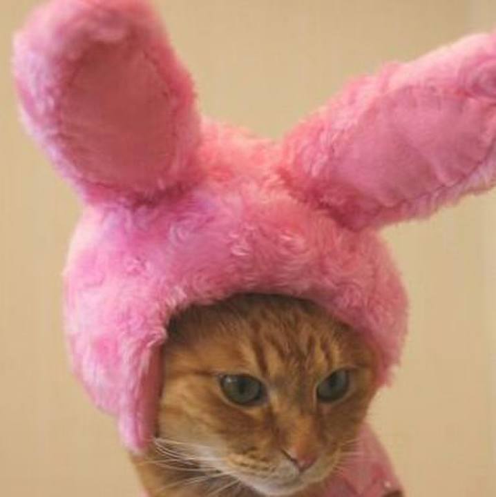 3f5ee330 2149 4557 9f30 e2a616ecbfea